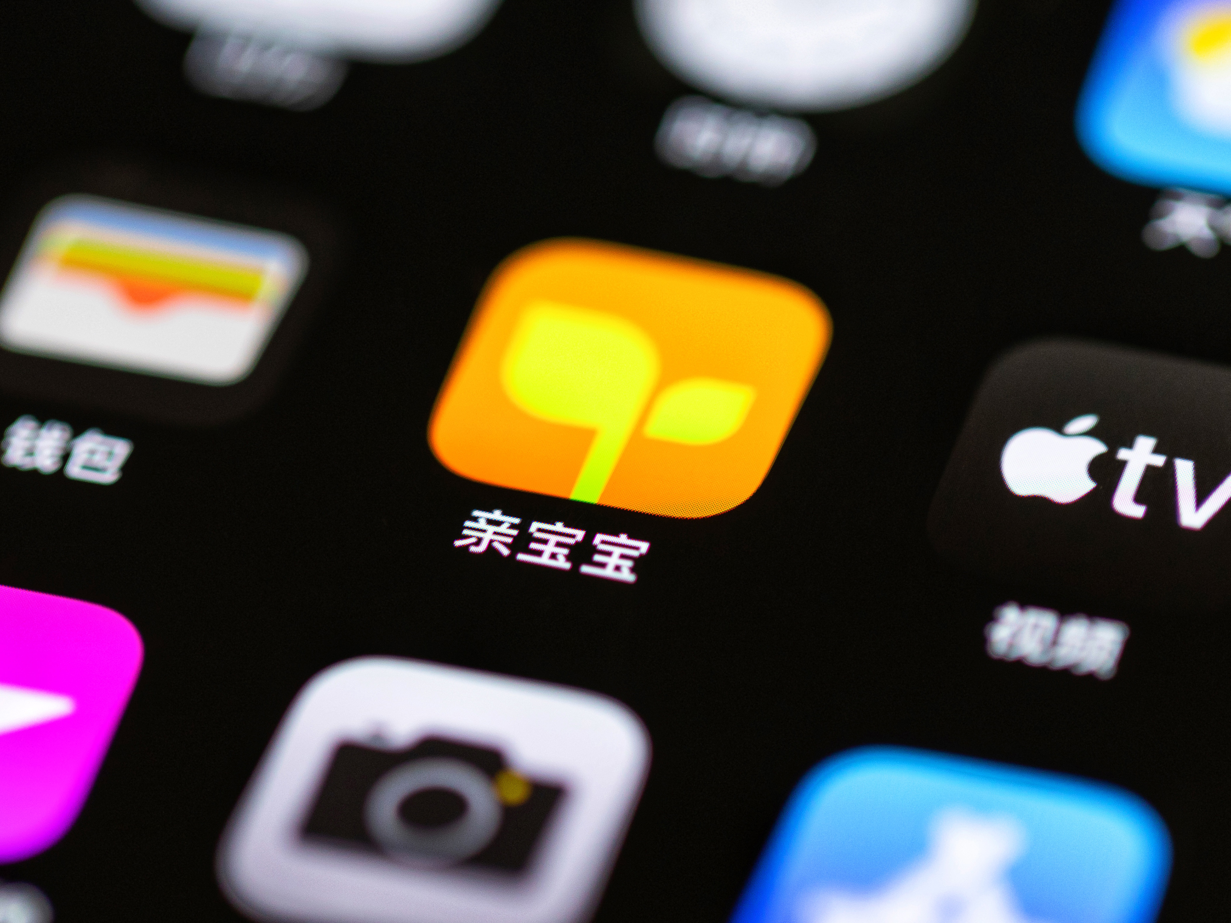 亲宝拼音下载安装(亲宝拼音app下载安装)
