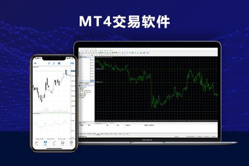 中文mt4软件下载(mt4中文版下载安卓版)